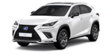 LEXUS NX 300H HYBRID Hybrid Battery Replacement